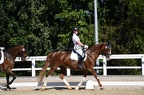 Pr.2 Amateur-Dressurreiterprüfung Kl.A 
